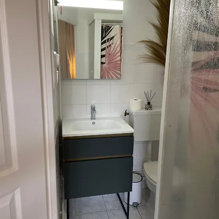 Apartamento Freroski 123 Mont-Dore